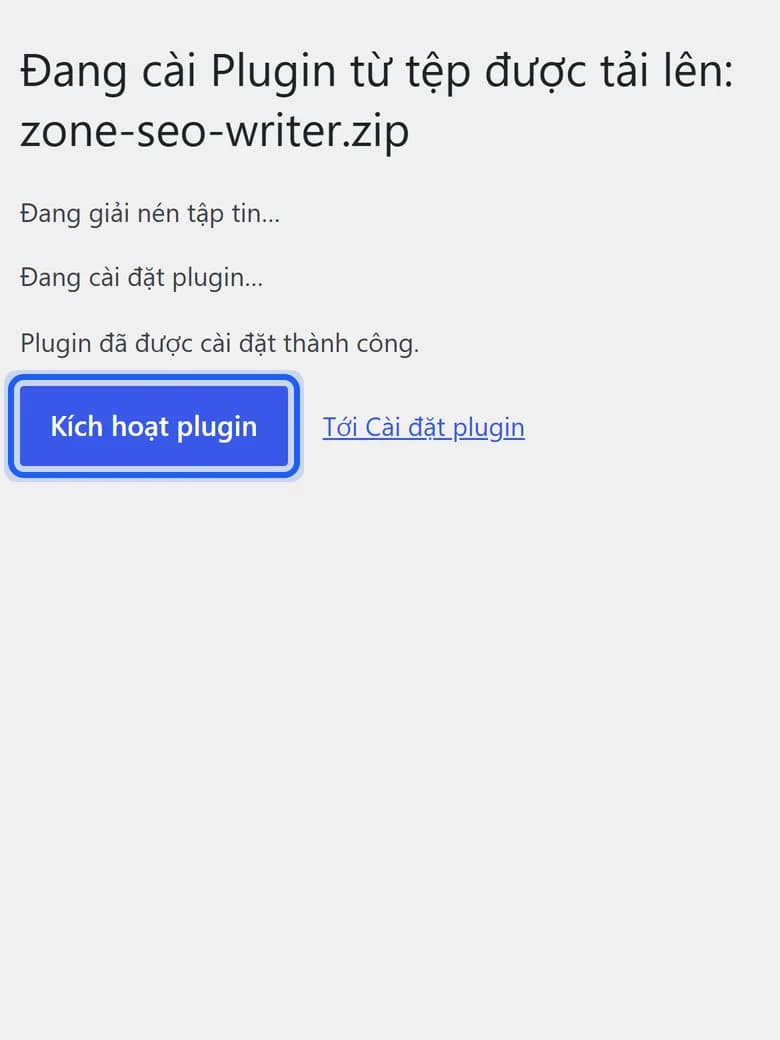 The plugin installed successfully message, with the Activate Plugin button outlined in blue